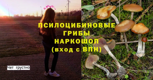 мяу мяу мука Богородицк