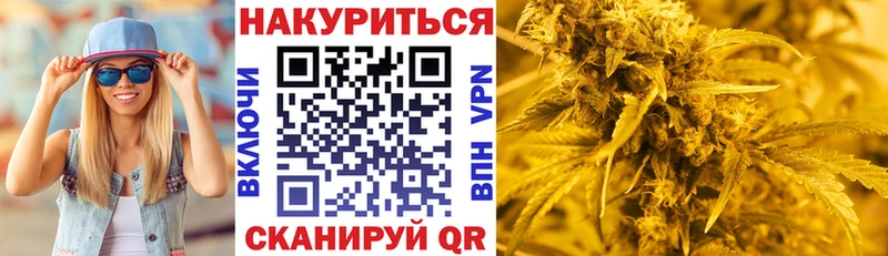 гидра как зайти  Нахабино  Бошки марихуана THC 21% 